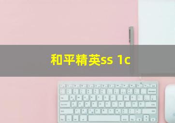 和平精英ss 1c